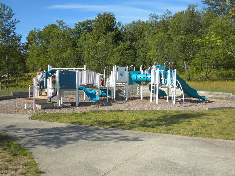 overview of hartwick pines campround playground